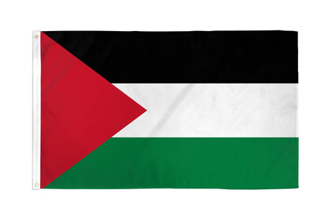 Large Palestine Flag